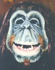 Eine bewegliche Vollmaske "Orang-Utan"